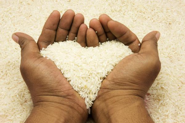 Hands holding rice, imanhakim / Shutterstock.com