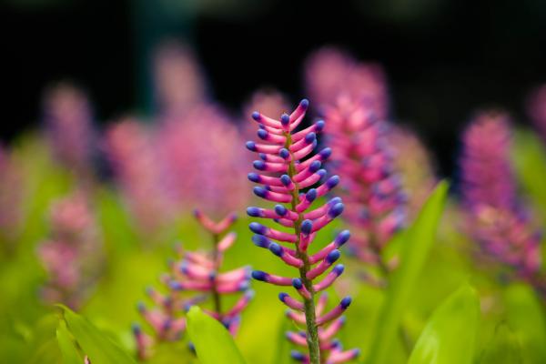 Timcharinee / Shutterstock.com
