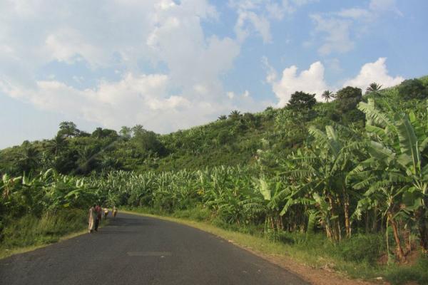 Roadway in Burundi. Photo by Janelle Tupper / Sojourners