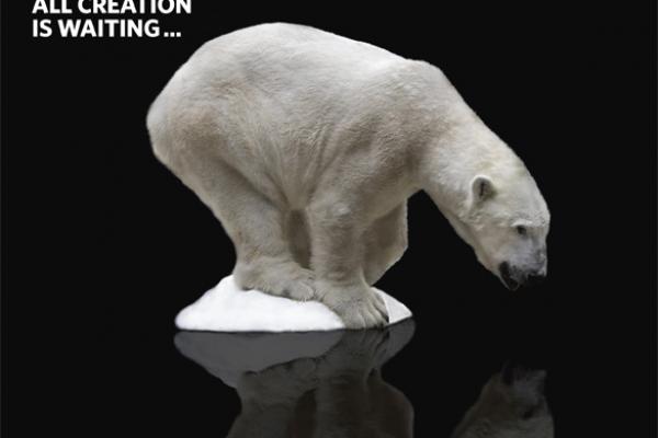 Polar bear on shrinking ice from the December 2009 issue of Sojourners 