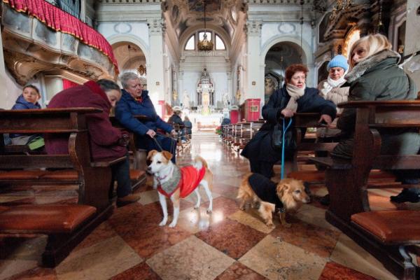 Owners with their dogs attend a blessing of pets and animals.(Photo by Marco Sec