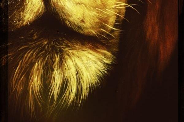 "Aslan Speaks." Photo by Cathleen Falsani for Sojourners. 