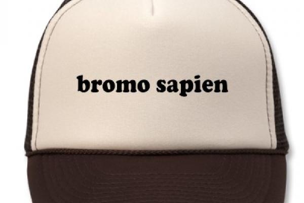 Bromosapien hat. Image via Zazzle.com.