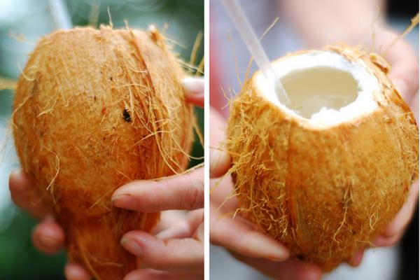 Coconut vessels. Images via Wylio.