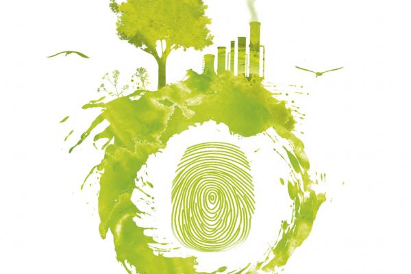 Irish_design / Shutterstock.com