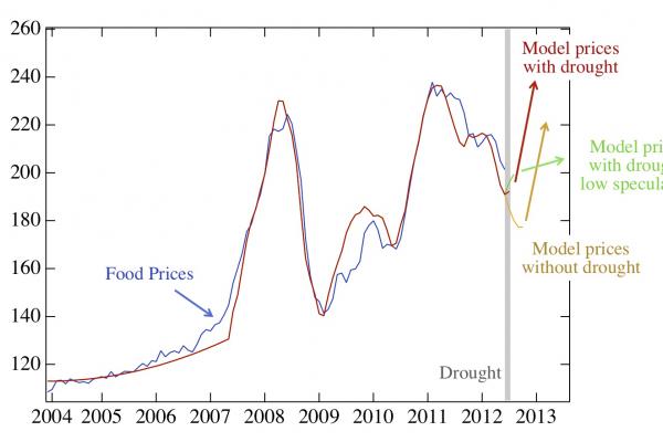 See the chart at http://necsi.edu/research/social/foodprices/updatejuly2012/