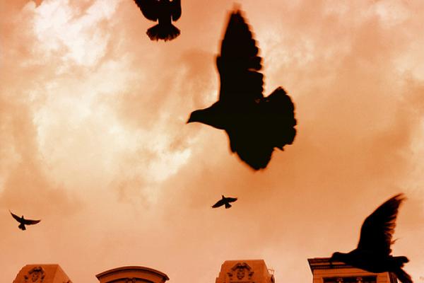 "Freedom." Photo illustration via Wylio http://bit.ly/xAJy0A