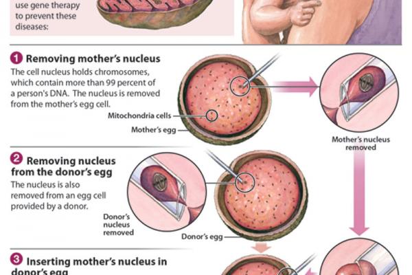  Graphic courtesy Oregon Health and Science University via RNS. 