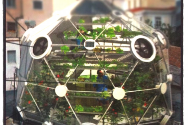 Image of the geodesic dome rooftop garden via http://www.conceptualdevices.com