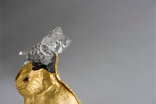 A Chocolate Easter bunny, wrapped in shiny golden and silver aluminum foil, partially nibbled away, foil ripped open at the top