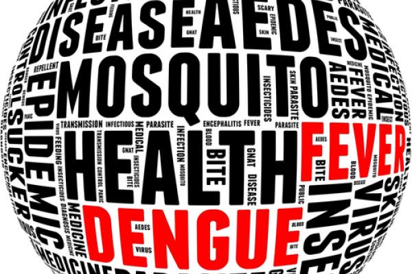 Dengue fever info-text. Via mrfiza / Shutterstock