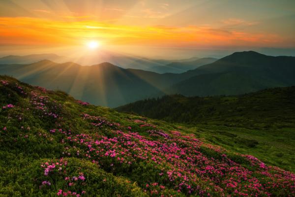 Photo: 2013 image, © Vladyslav Starozhylov/ Shutterstock.com