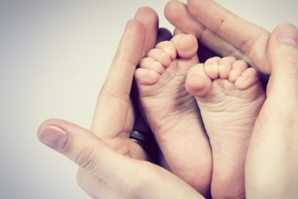 Photo: © vlavetal / Shutterstock.com