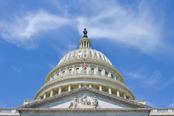 U.S. Capitol Building, Orhan Cam / Shutterstock.com