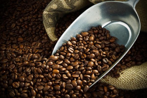 Coffee grounds. Image courtesy O.Bellini/shutterstock.com