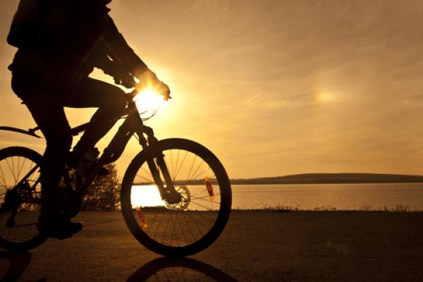 Cyclist at sunset, maradonna 8888 / Shutterstock.com