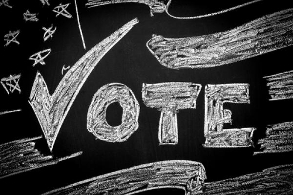 Voting illustration, B Calkins / Shutterstock.com