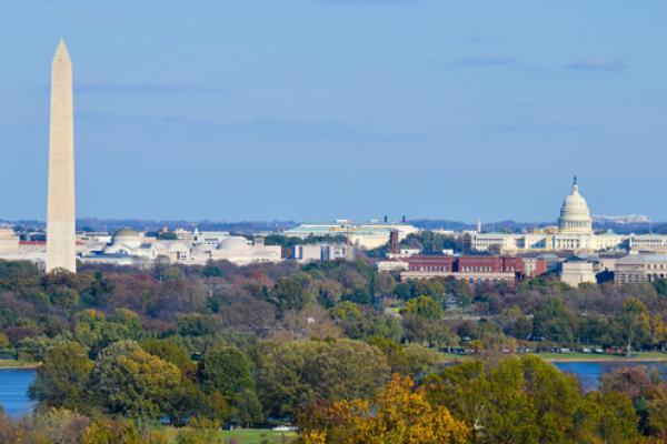 Washington, D.C., skyline, Orhan Cam / Shutterstock.com