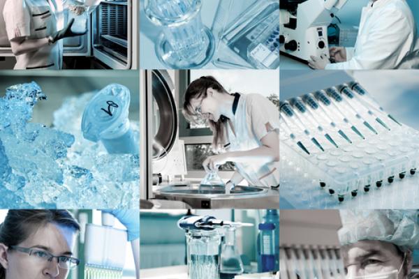 Scientists in a lab, anyaivanova / Shutterstock.com