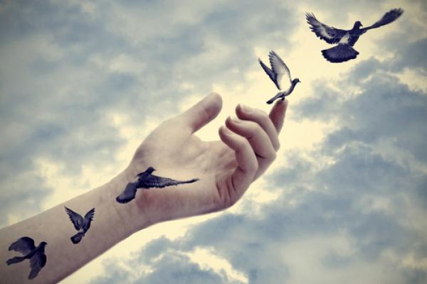 Bird tattoos come to life, Marianne D / Shutterstock.com