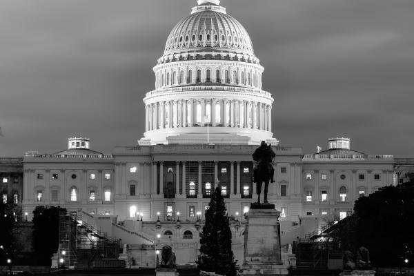 U.S. Capitol Building, Orhan Cam / Shutterstock.com