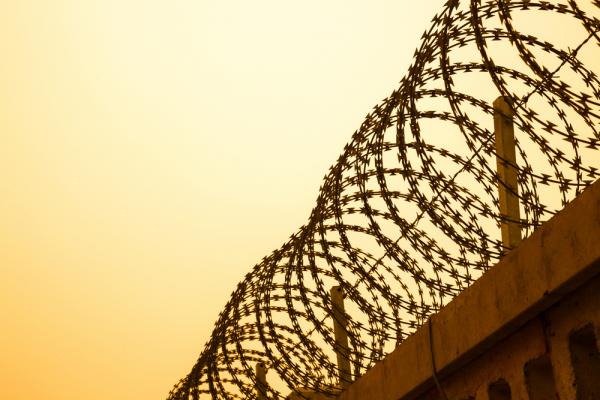 Photo via Humannet / Shutterstock.com