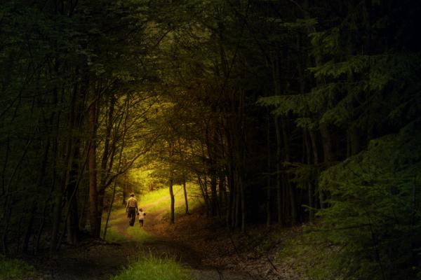 Rudolf Vlcek/Shutterstock