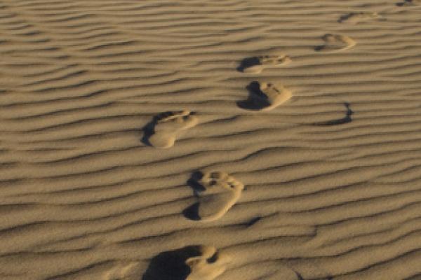 A single pair of footprints. Photo courtesy grebcha/shutterstock.com