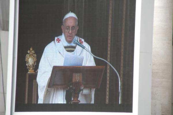 Pope Francis in March, emipress / Shutterstock.com