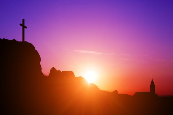 Tibor Balogh / Shutterstock