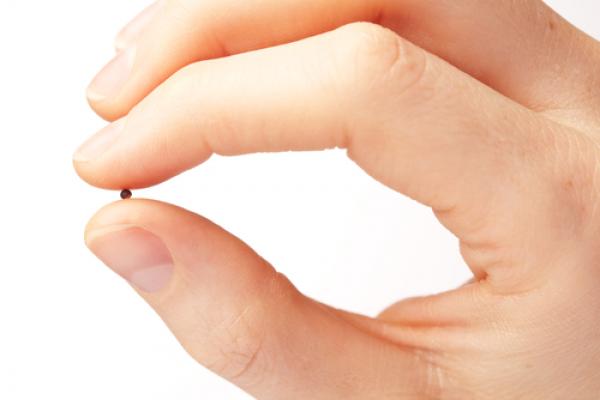 Hand holdng a mustard seed, ptnphoto / Shutterstock.com