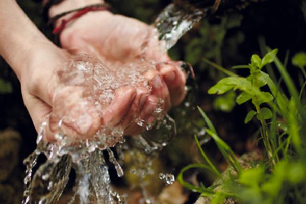 Wellspring, Oleh Slobodeniuk / Shutterstock.com