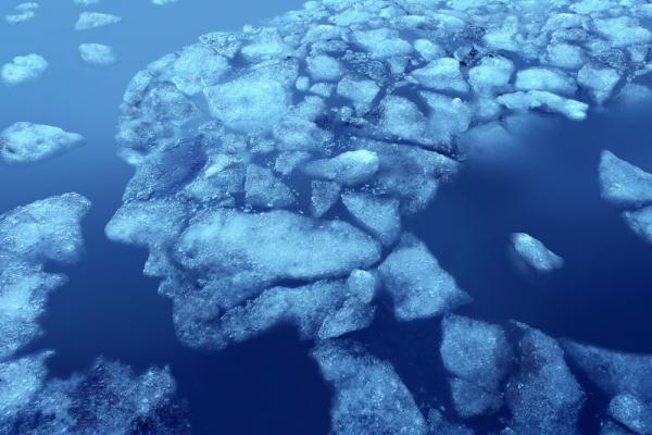 Lightspring/Shutterstock