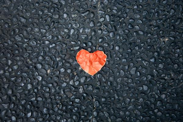 Beloved. Image courtesy Anton Watman/shutterstock.com
