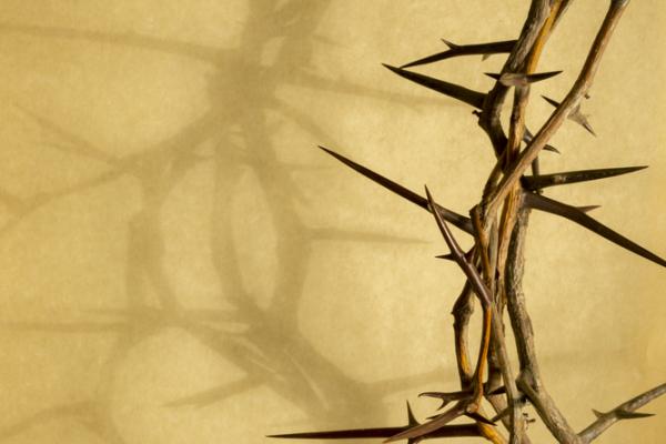 Crown of thorns. Image via Ricardo Reitmeyer/shutterstock.com