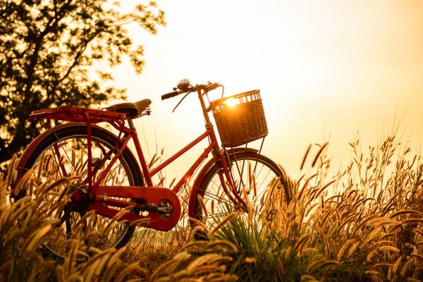 Image via anawat sudchanham/shutterstock.com