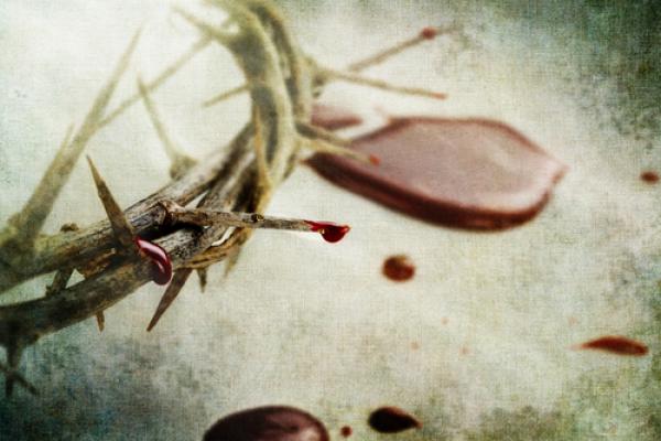 Crown of thorns, Stephanie Frey / Shutterstock.com