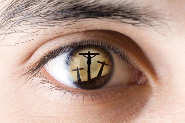 Jesus Cervantes/Shutterstock.com