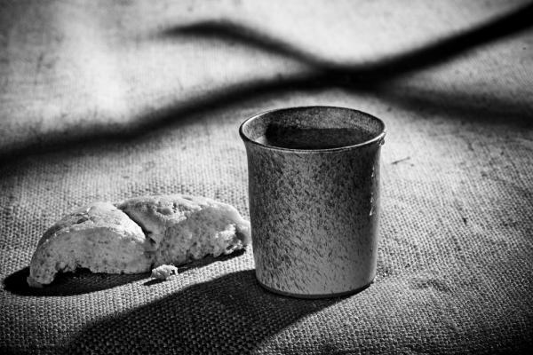Vaclav Mach / Shutterstock.com