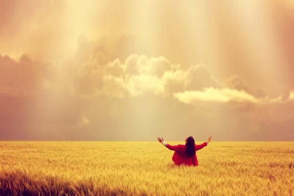 Annette Shaff/ Shutterstock.com