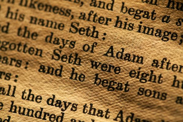 Book of Genesis, Janaka Dharmasena / Shutterstock.com