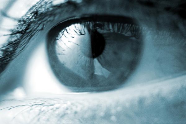 Eye photo, Greg Soybelman/Shutterstock.com