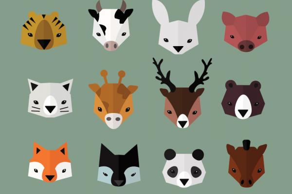  Zoo animals, Sviatlana St / Shutterstock.com