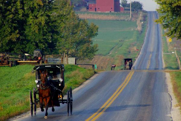 Amish buggies, Weldon Schloneger/Shutterstock.com