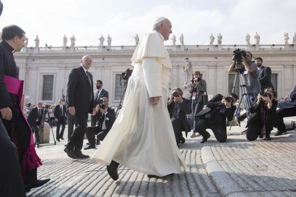 giulio napolitano / Shutterstock.com