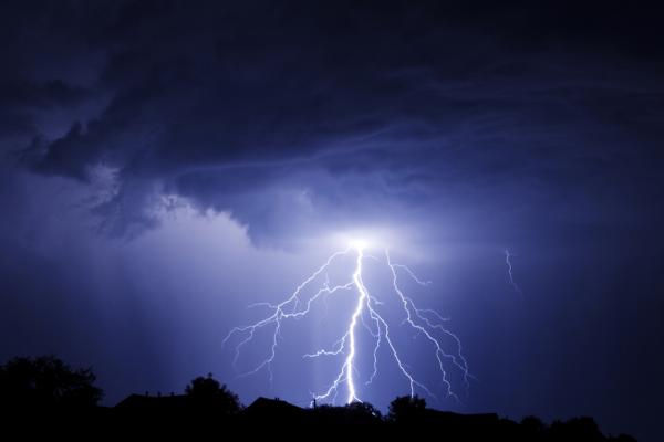 Kucher Serhii / Shutterstock.com