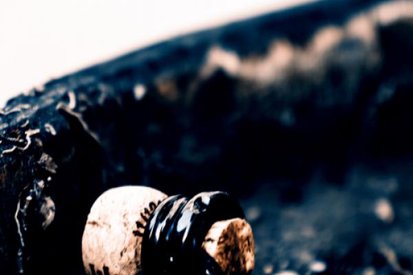 champagne cork