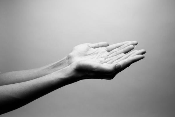 aradaphotography / Shutterstock.com