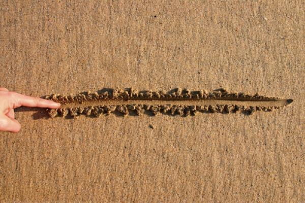 Drawing a line in the sand, Stephen Rees / Shutterstock.com