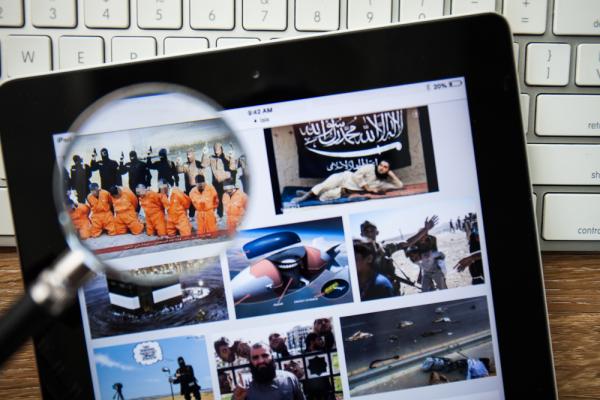 ISIS image search, aradaphotography / Shutterstock.com